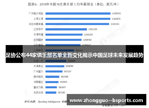 足协公布44家俱乐部名单全新变化揭示中国足球未来发展趋势